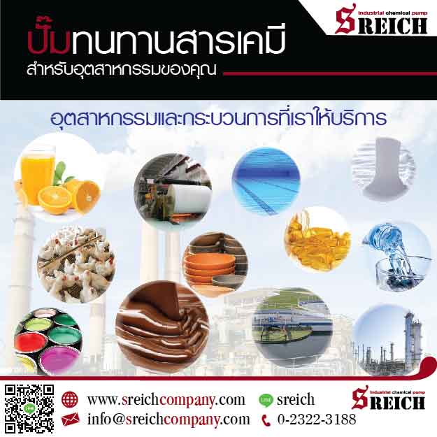 ปั๊มเคมี ปั๊มดูดสารเคมี ปั๊มสแตนเลส316แอล Chemical pump ขนถ่ายสารเคมี รูปที่ 1