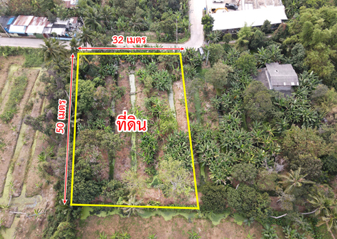 ขายที่ดิน บางกรวย-ไทรน้อย บางกร่าง นนทบุรี รูปที่ 3