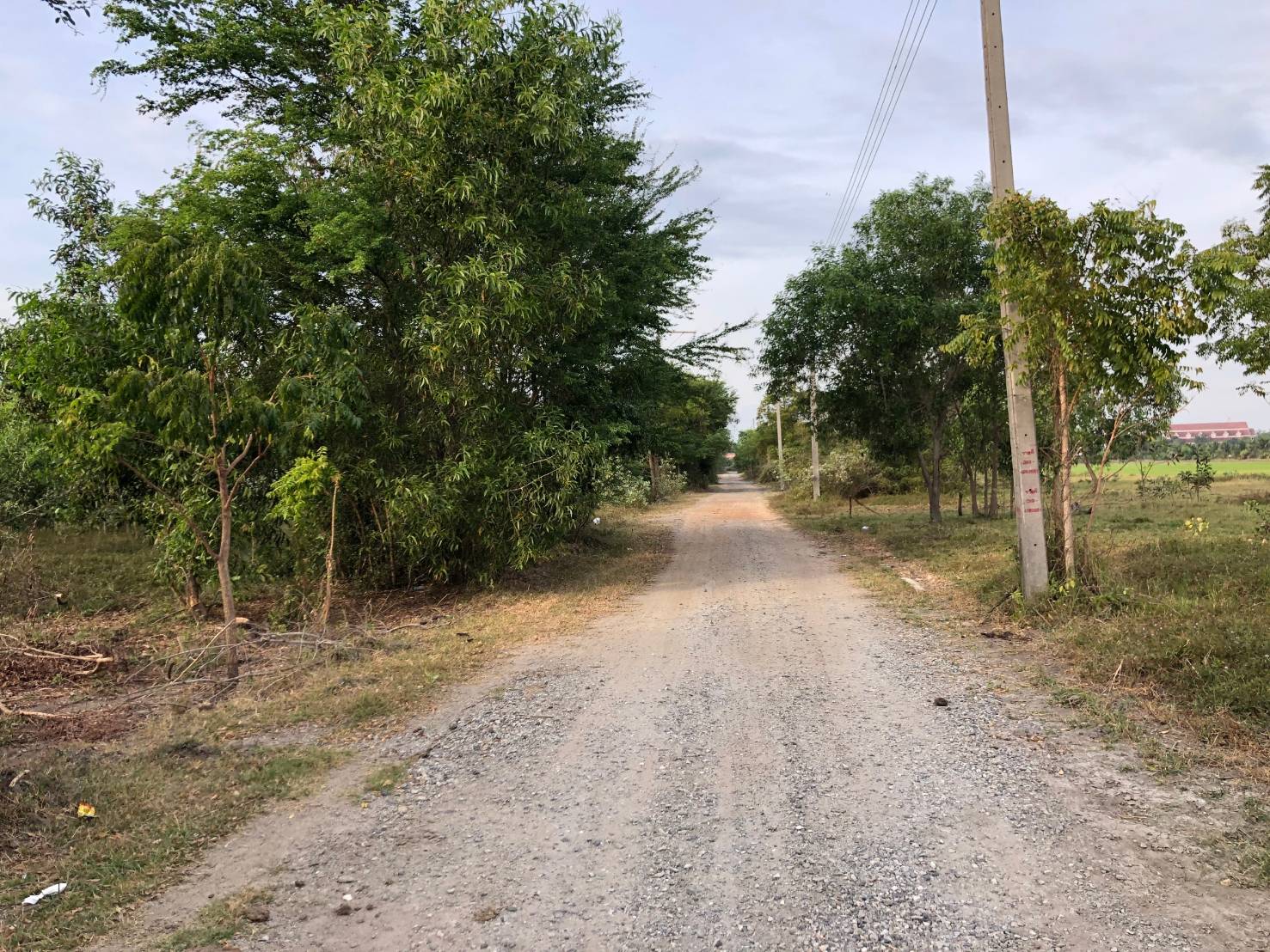 ขายที่ดิน บางคล้า ฉะเชิงเทรา รูปที่ 5