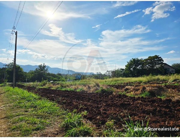 ขายที่ดินเขาใหญ่ 4 ไร่ 1 งาน 13 ตร.ว. แปลงสวย หลังติดเขา รูปที่ 1