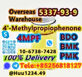 Sell PMK Oil CAS 5337-93-9 PMK ethyl glycidate with large Stock Good Price