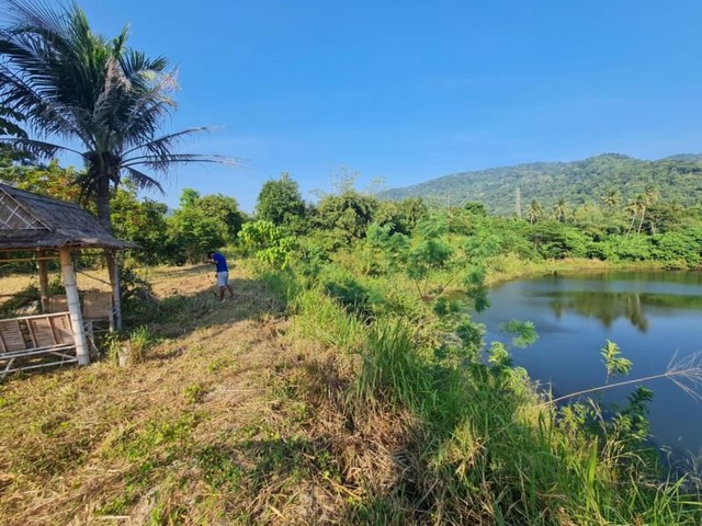 ขายที่ดิน พร้อมบ้านสวน บางพระ ห้วยกุ่ม-เขาไม้แดง วิวธรรมชาติ TP-L0945 รูปที่ 1