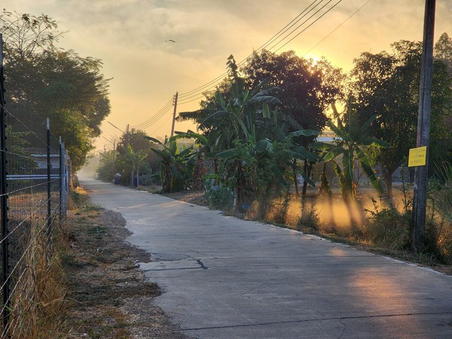 ขายด่วน ที่ดิน 200 ตร.ว.ซ.คลองสาม 12/19  ใกล้วัดพระธรรมกาย คลองสาม คลองหลวง จ.ปทุมธานี รูปที่ 1