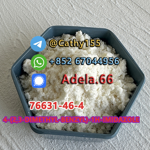 76631-46-4 4-(2,3-DIMETHYL-BENZYL)-1H-IMIDAZOLE รูปที่ 1