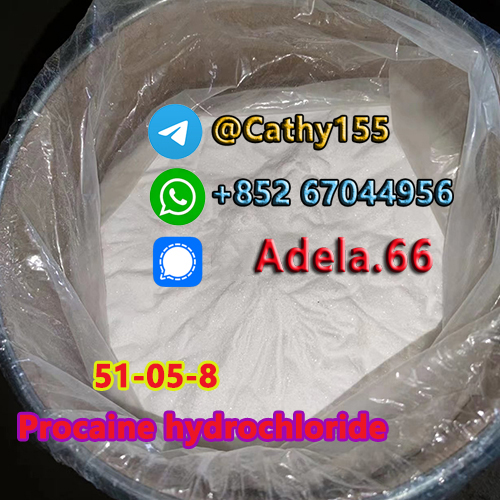   51-05-8 	Procaine hydrochloride รูปที่ 1