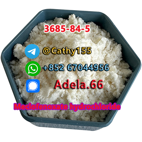 3685-84-5 Meclofenoxate hydrochloride รูปที่ 1