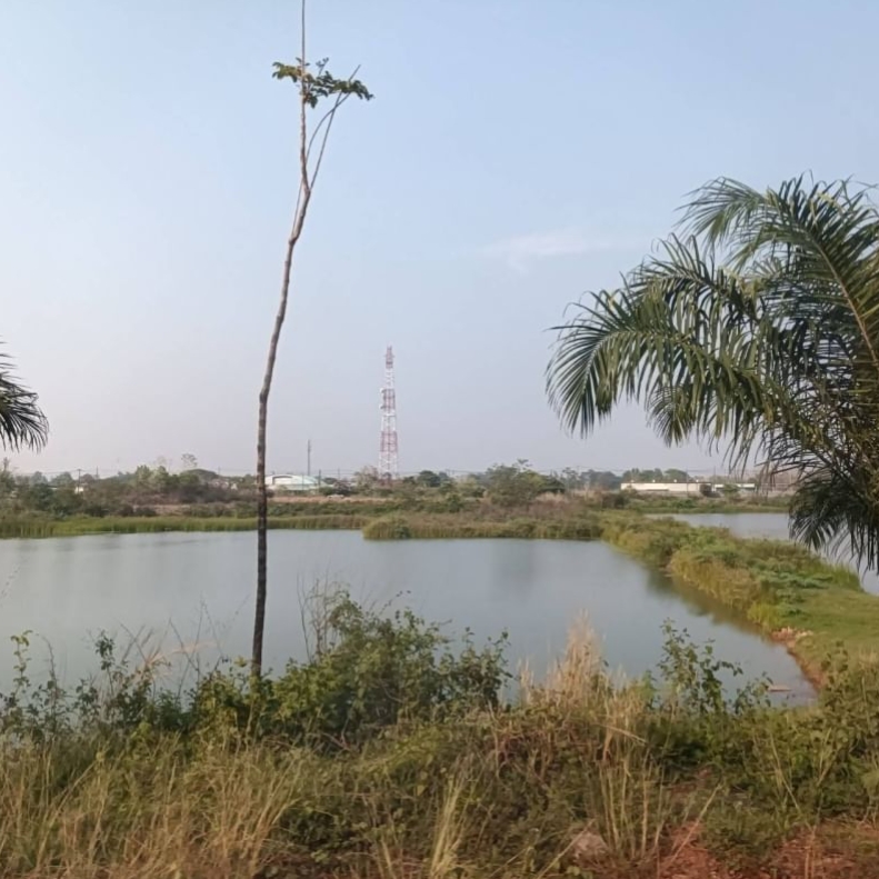 ขายที่ดิน ติดร้านอาหาร ริมบึงหนองโง้ง รูปที่ 1