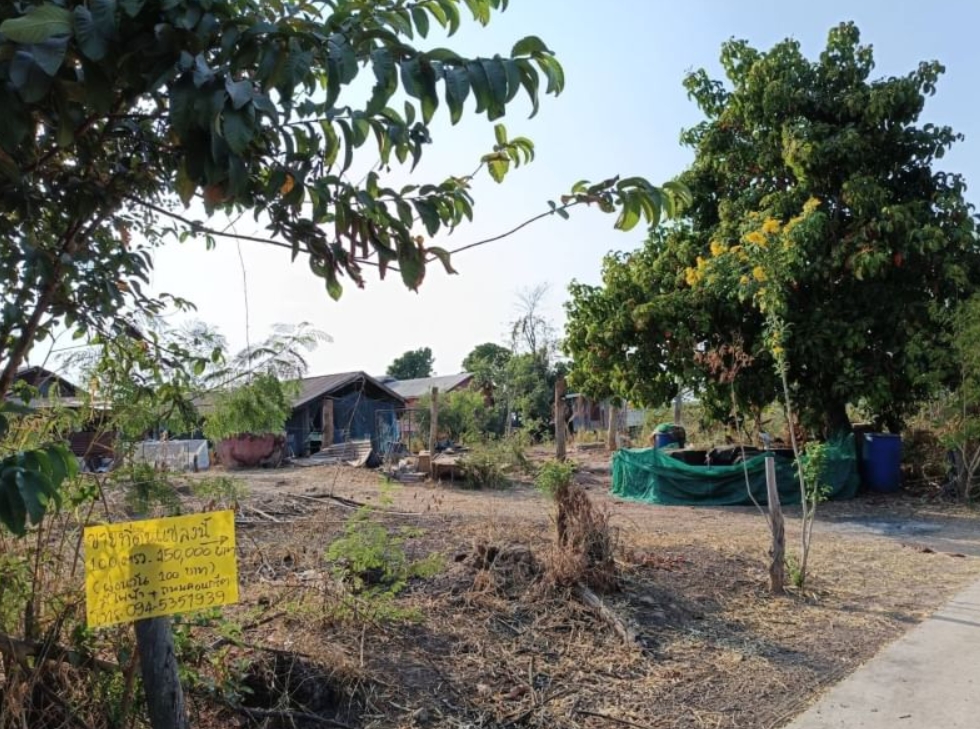 ขายที่ดินทำบ้านถมแล้ว มีน้ำ ไฟฟ้า ติดถนนคอนกรีต  รูปที่ 1