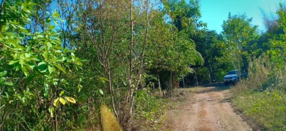 ขายที่ดินโฉนด 100ตรว. ใกล้โรงเรียนบ้านหนองปลาขาว 500เมตร  รูปที่ 1