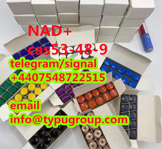 high purity NAD+ cas53-84-9 telegram/signal+4407548722515 รูปที่ 1