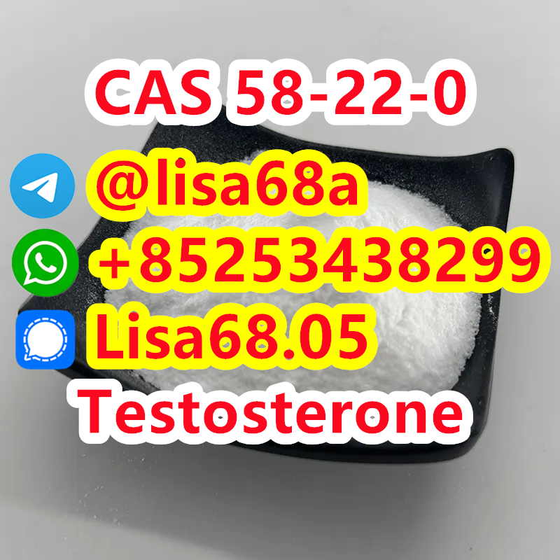 CAS 58-22-0 Testosterone C19H28O2 รูปที่ 1