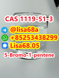 CAS 1119-51-3 5-Bromo-1-pentene C5H9Br