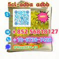 5cladba 5cl-adb 5-cl-adb-a adbb 4cladbb 4f-adb 2cladbb bmk pmk raw-materials