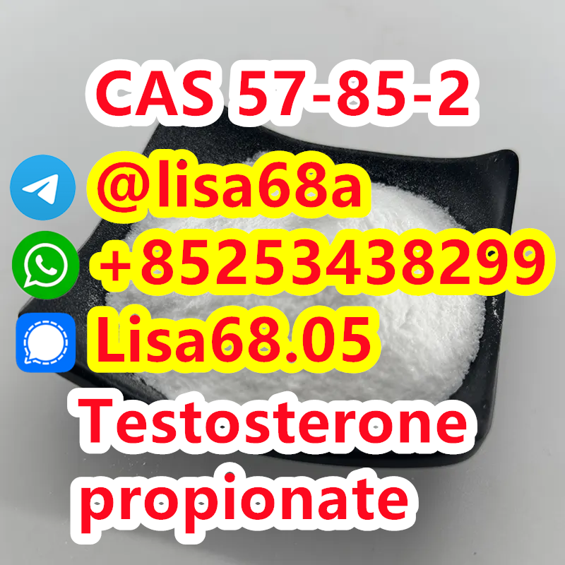 CAS 57-85-2 Testosterone propionate C22H32O3 รูปที่ 1