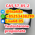 CAS 57-85-2 Testosterone propionate C22H32O3