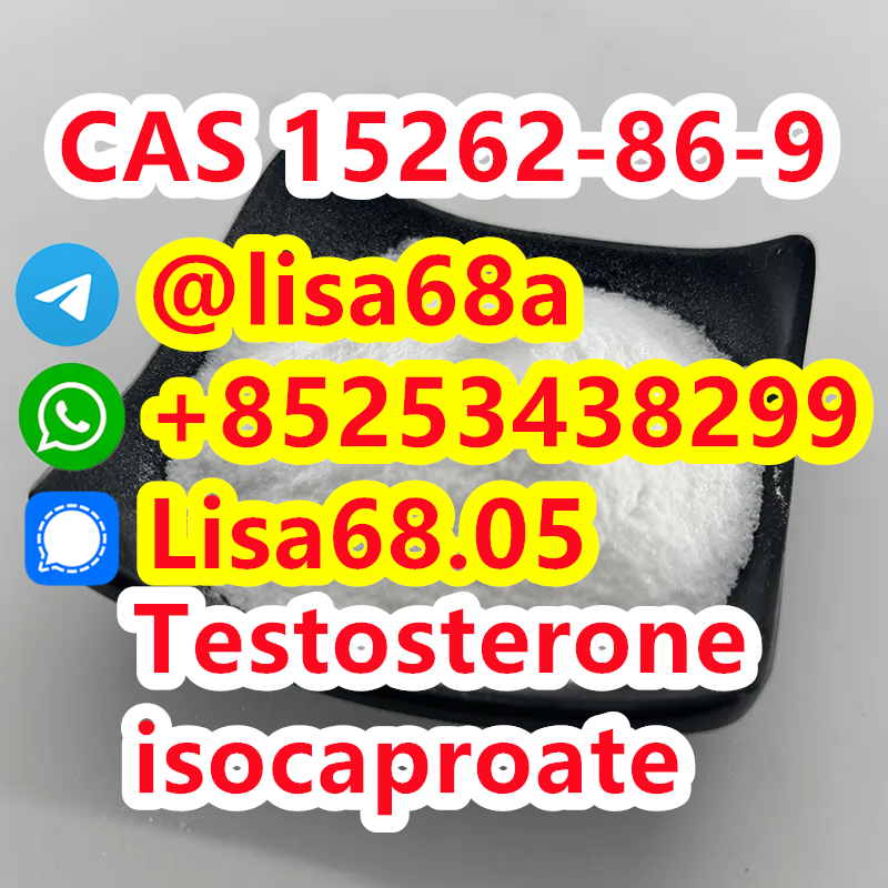 CAS 15262-86-9 Testosterone isocaproate C25H38O3 รูปที่ 1