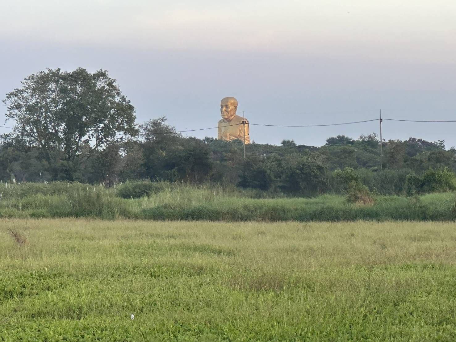 ขายที่ดินเปล่า ทำเลทอง อำเภอมหาราช จังหวัดพระนครศรีอยุธยา รูปที่ 1