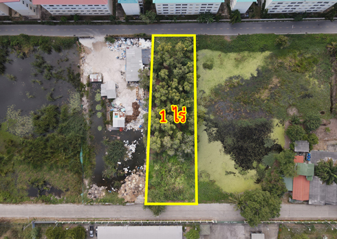 ขายที่ดิน ซอยเทพกุญชร 34 ตลาดไท คลองหลวง ปทุมธานี รูปที่ 2