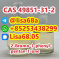 CAS 49851-31-2 2-Bromo-1-phenyl-pentan-1-one C11H13BrO