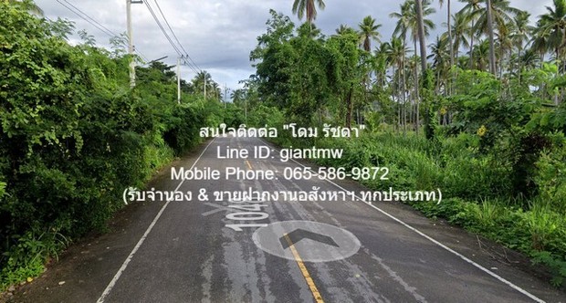 พื้นที่ดิน ืที่ดิน ทับสะแก จ.ประจวบคีรีขันธ์  พื้นที่ 70 ตรว. 0 งาน 31 RAI 15000000 THAI BAHT ใกล้กับ อ่างเก็บน้ำบ้านทุ่งตาเค็ท ราคาดีสุด ประจวบคีรีขันธ์    รูปที่ 1