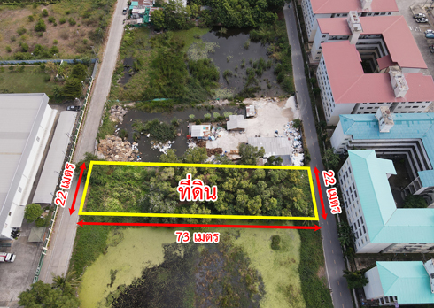 ขายที่ดิน ซอยเทพกุญชร 34 ตลาดไท คลองหลวง ปทุมธานี รูปที่ 3