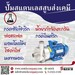 รูปย่อ ปั๊มเคมี ปั๊มดูดสารเคมี ปั๊มสแตนเลส316แอล Chemical pump ขนถ่ายสารเคมี รูปที่1