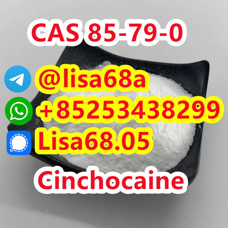 CAS 85-79-0 Cinchocaine C20H29N3O2 รูปที่ 1