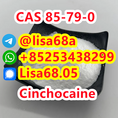 CAS 85-79-0 Cinchocaine C20H29N3O2