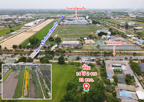 ขายที่ดิน ไทรน้อย ถนนบางบัวทอง - สุพรรณบุรี นนทบุรี รูปที่ 4