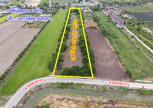 ขายที่ดิน ไทรน้อย ถนนบางบัวทอง - สุพรรณบุรี นนทบุรี รูปที่ 5