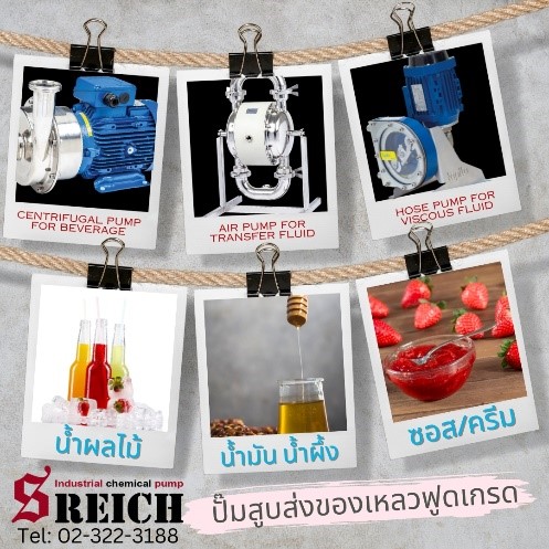 ปั๊มดูดของเหลวหนืด ปั๊มfood grade ปั๊มสแตนเลส stainless pump รูปที่ 1