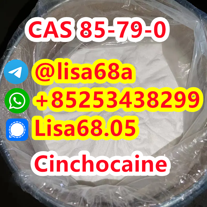 CAS 85-79-0 Cinchocaine C20H29N3O2 รูปที่ 1