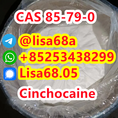 CAS 85-79-0 Cinchocaine C20H29N3O2