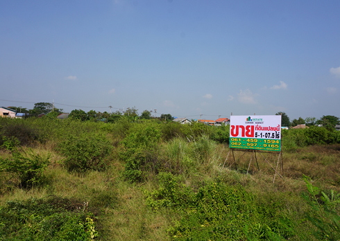 ขายที่ดิน ราชพฤกษ์ - ถนน 346 บางหลวง ปทุมธานี รูปที่ 4