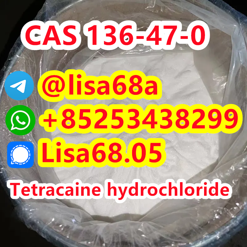 CAS 136-47-0 Tetracaine hydrochloride C15H25ClN2O2 รูปที่ 1