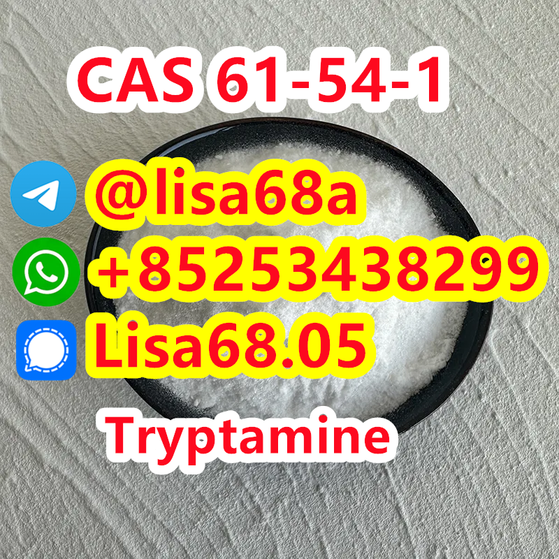 CAS 61-54-1 Tryptamine C10H12N2 รูปที่ 1