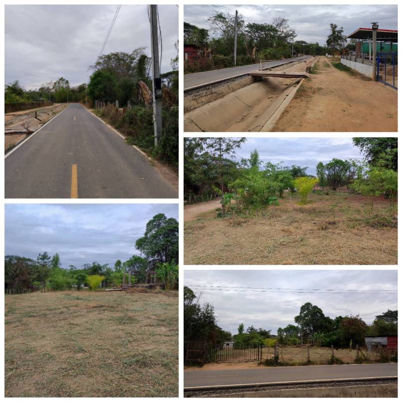 ขายที่ดินพร้อมบ้านสวน ติดลำน้ำชี บ้านดอนบม อำเภอเมืองขอนแก่น โฉนดพร้อมโอน  รูปที่ 6