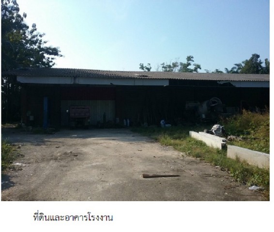 ขายโรงงาน ตำบาล ตากแดด อำเภอเมืองชุมพร จังหวัดชุมพร  รูปที่ 1