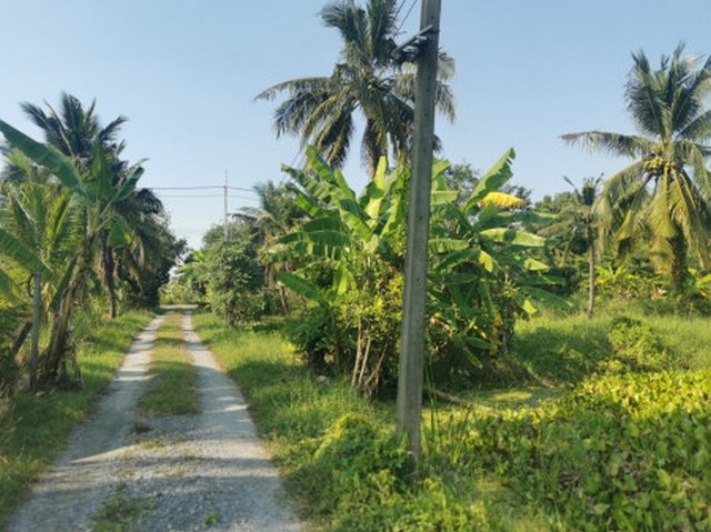 ขาย ที่ดิน ใกล้เซ็นทรัล ศาลายา ซ.มหาสวัสดิ์ 12 0 ตรม. 7 ไร่ 1 งาน 63 ตร.วา รูปที่ 1