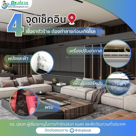 รูปภาพ 4จุดเช็คอินเชื้อราตัวร้ายต้องทำลายก่อนเกิดโรค