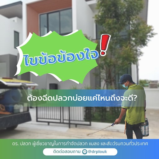 รูปภาพ ไขข้อข้องใจ!ต้องฉีดปลวกบ่อยแค่ไหนถึงจะดี?