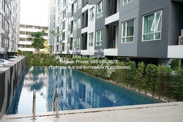 รหัส:  DSL-127 Sale Condo. รีเจ้นท์ โฮม สุขุมวิท 81 28ตรม 1 Bedroom 1 น้ำ 1800000 บ. ราคา ดี รูปที่ 1