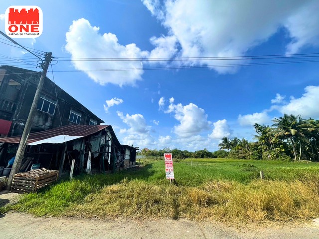 ที่ดินเปล่าโซนในเมือง ลงทุนง่าย กำไรพุ่ง ซอยรุ่งเรือง ต.ปากนคร อ.เมือง นครศรีธรรมราช รูปที่ 1