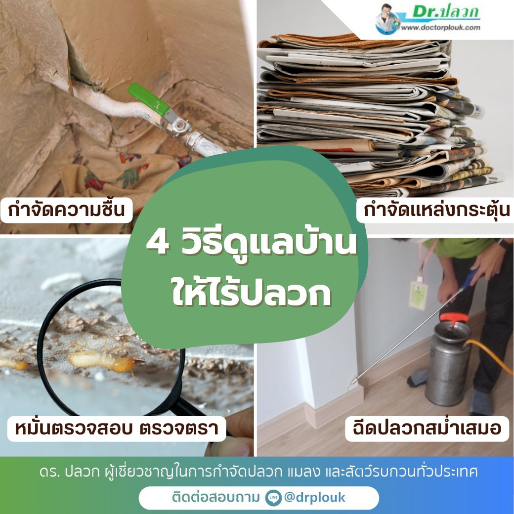 รูปภาพ 4วิธีดูแลบ้านให้ไร้ปลวก