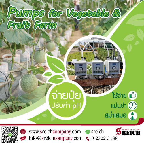 Dosing pump ปั๊มจ่ายพ่นปุ๋ย เข้าหัวสเปร์ย เพื่อการฉีดพ่นปุ๋ยได้ทั่วทั้งฟาร์ม  รูปที่ 1