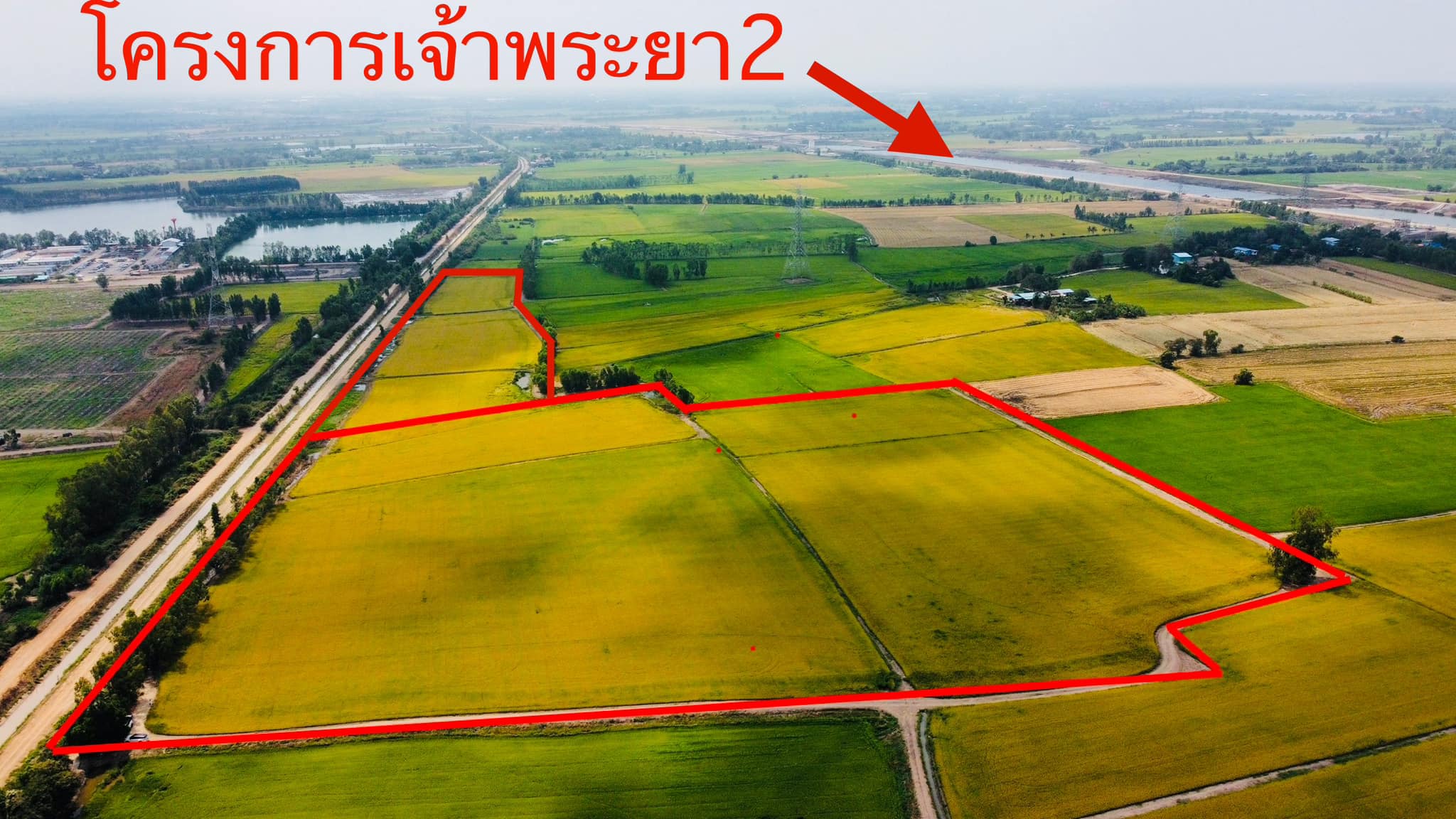 ขายด่วน ที่ดินบางไทร ใกล้เจ้าพระยา2 อยุธยา รูปที่ 1