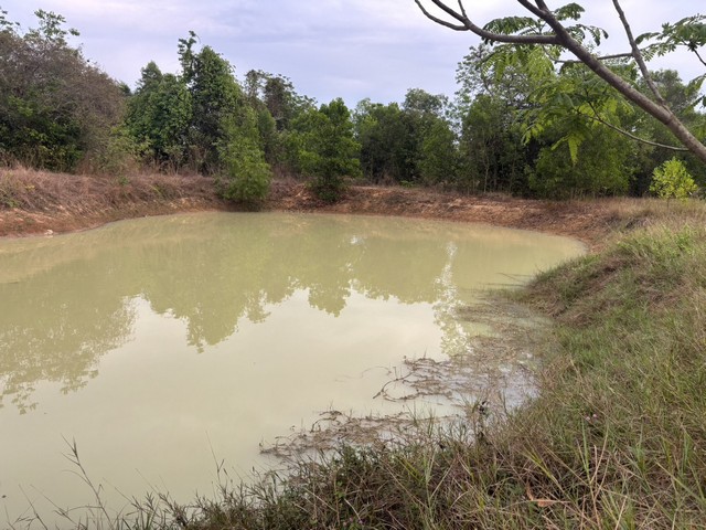 ที่ดินเปล่า หนองป่าง ต.ลาดกระทิง อ.สนามชัยเชต .ฉะชิงเทรา รูปที่ 1