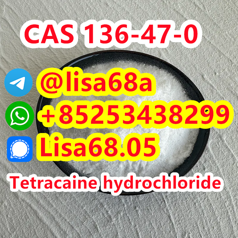 CAS 136-47-0 Tetracaine hydrochloride C15H25ClN2O2 รูปที่ 1