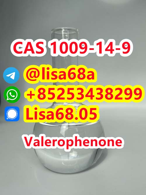 CAS 1009-14-9 Valerophenone C11H14O รูปที่ 1