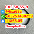 CAS 58-55-9 Theophylline C7H8N4O2